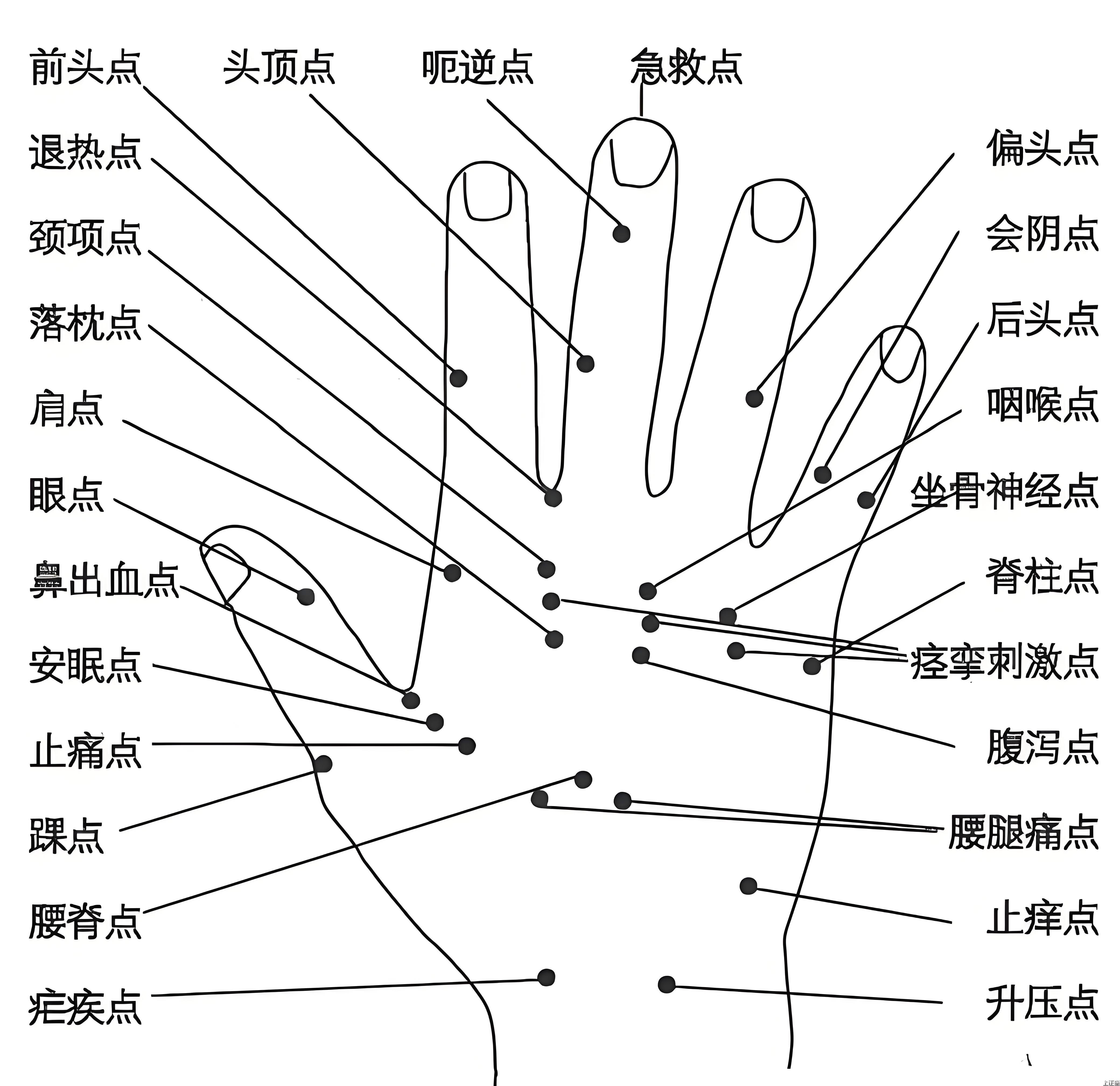 五行全息手针